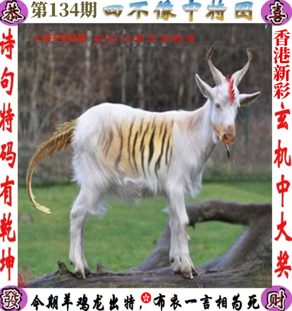 First Image
