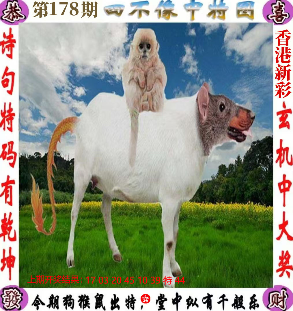 First Image
