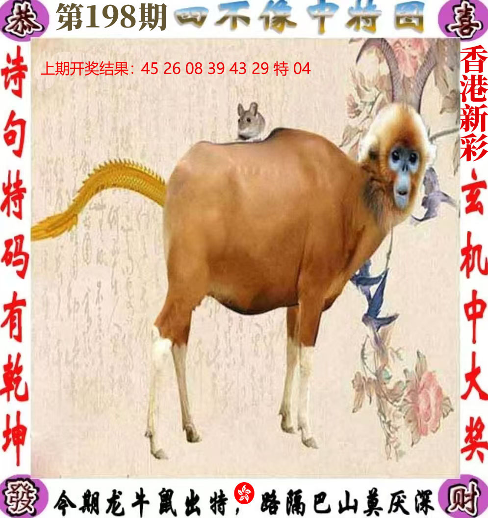 First Image