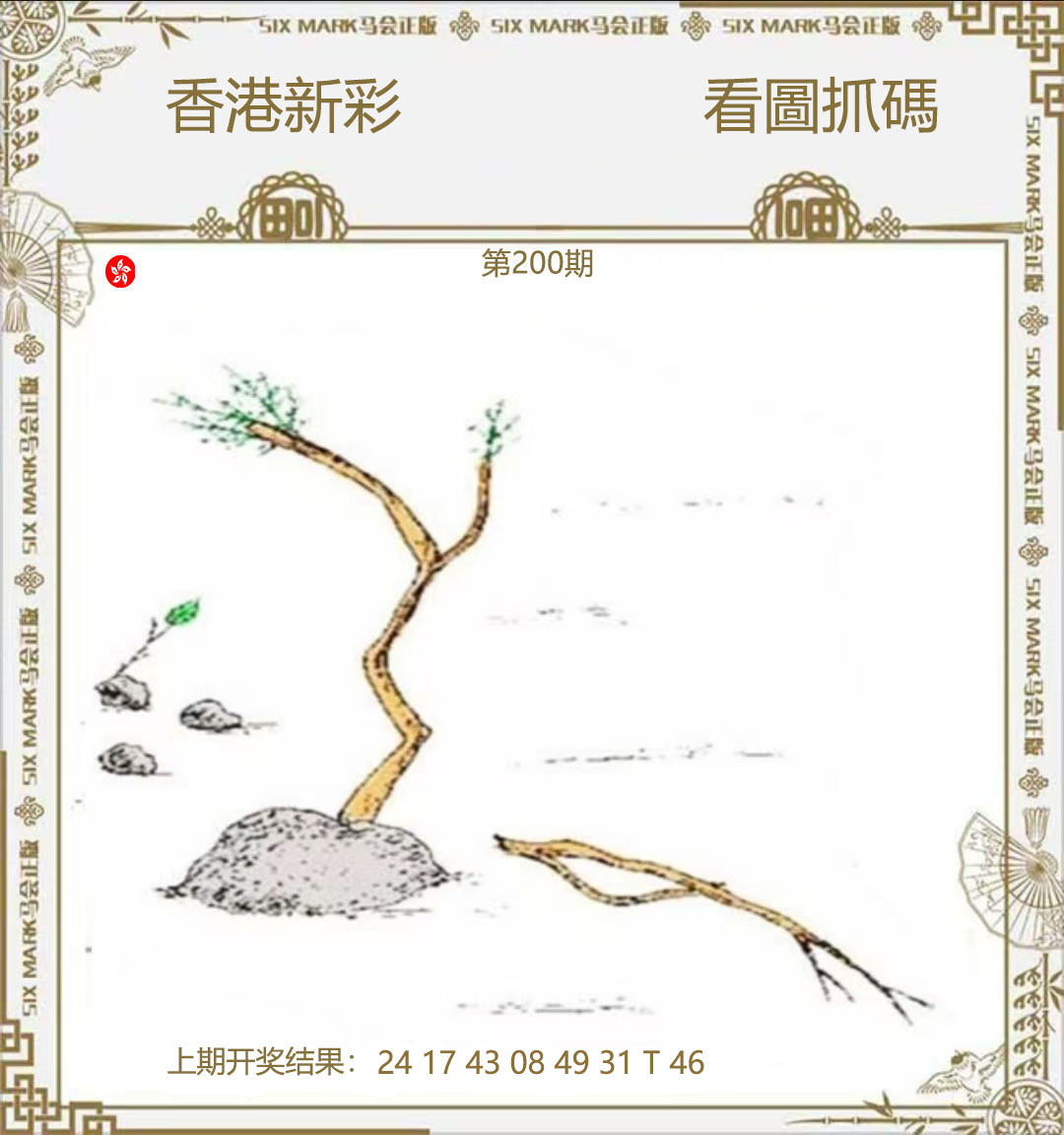 First Image