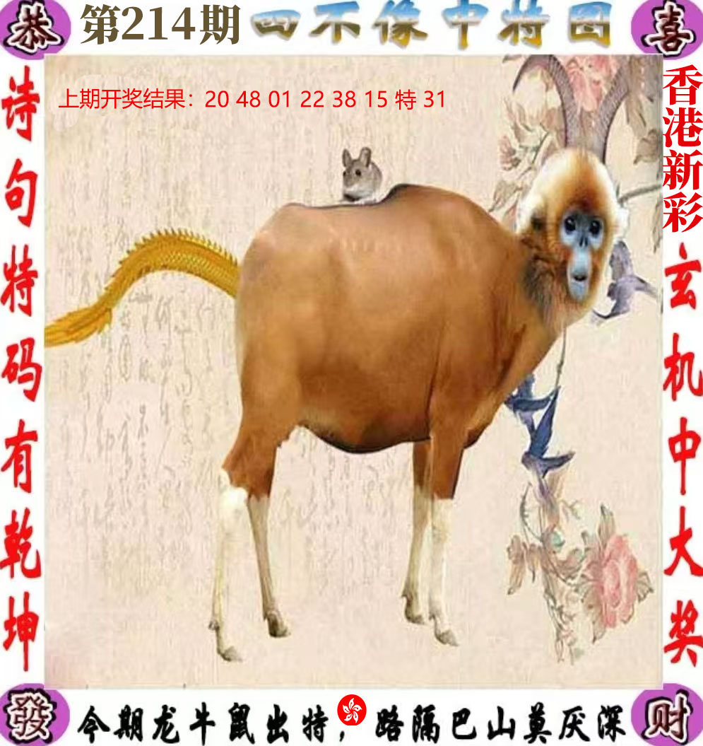 First Image