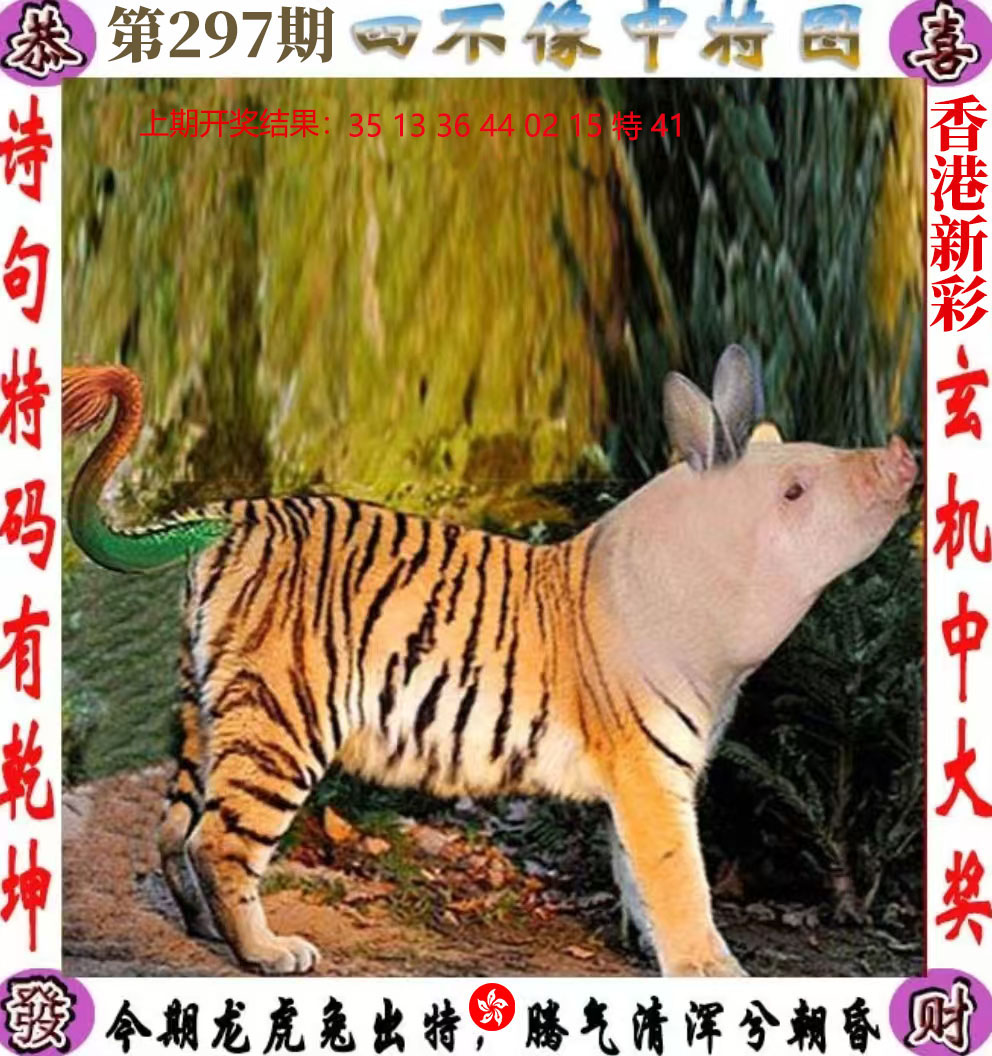 First Image